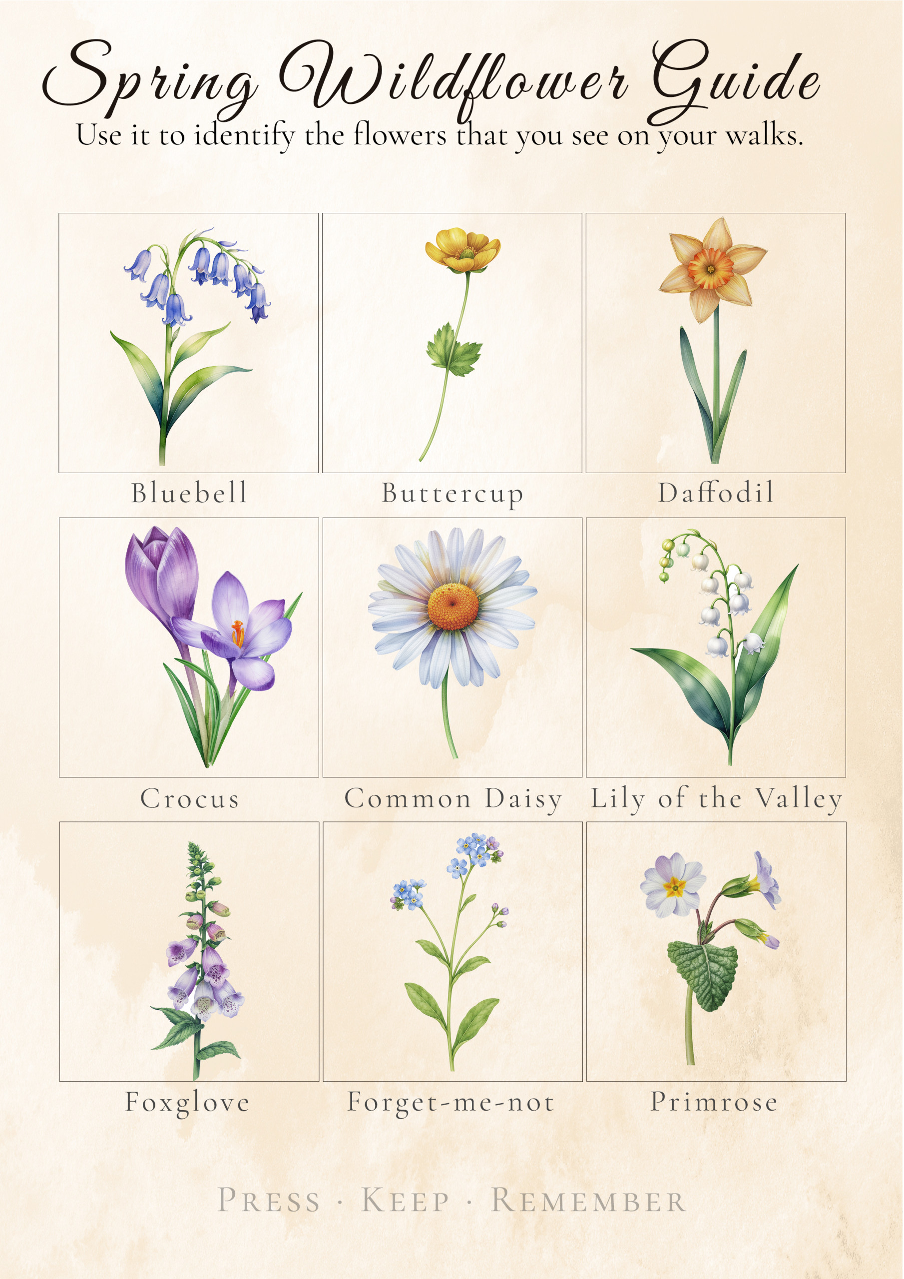 The Gentle Library Spring Days 3