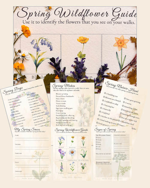 The Gentle Library Spring Days 5