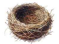 An empty nest