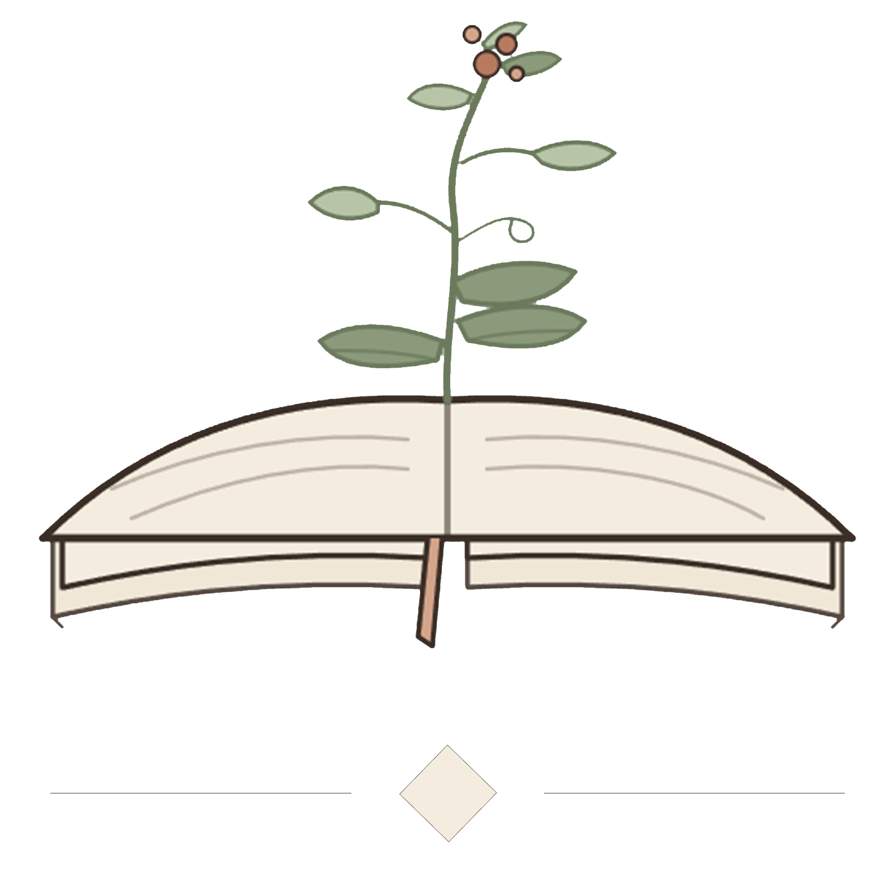 The Gentle Library Logo