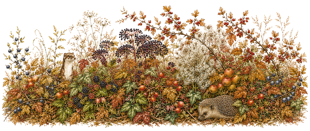 hedgerow themed products for baby showers and keepsakes