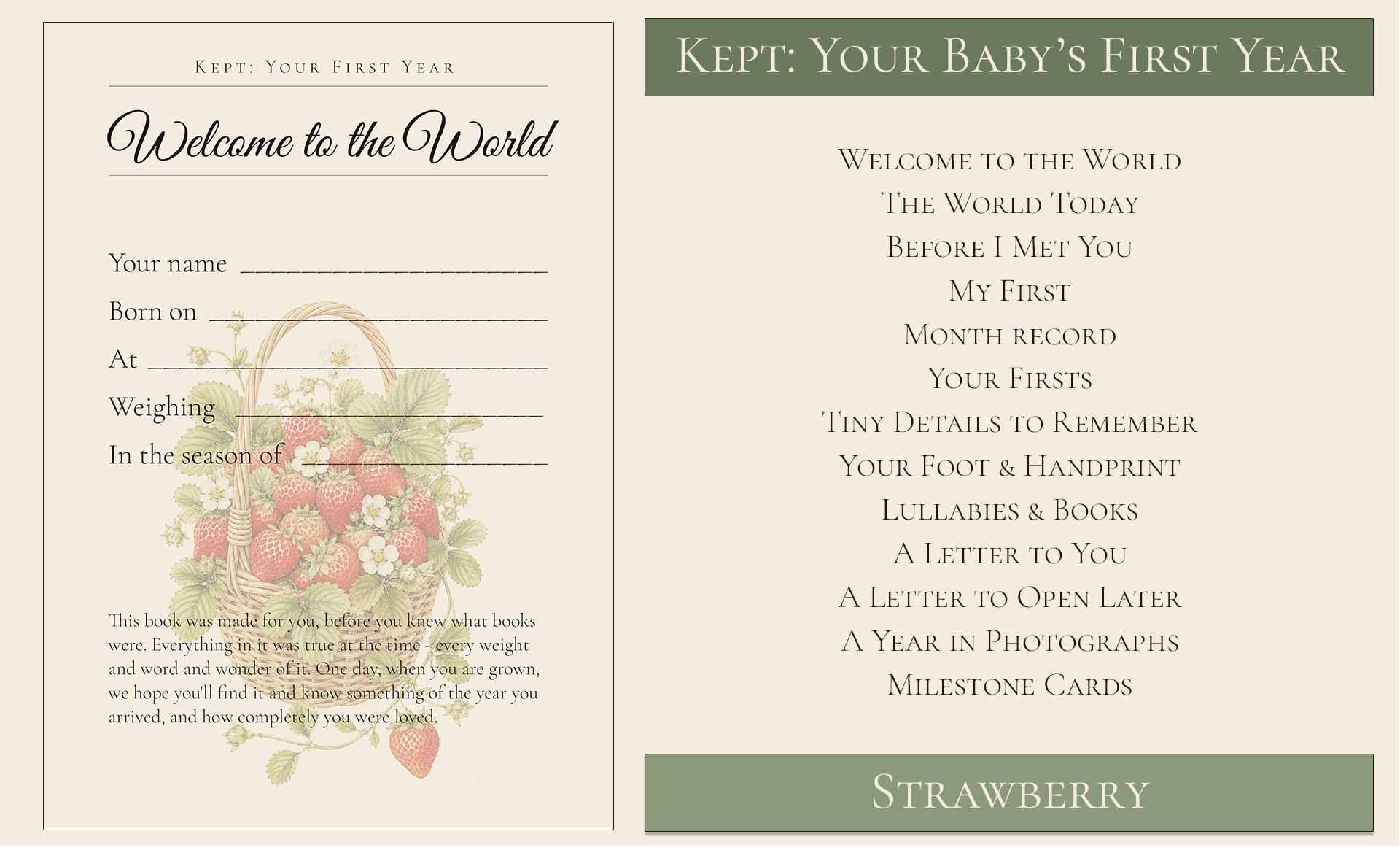Your baby's first year keepsake strawberry themed 2